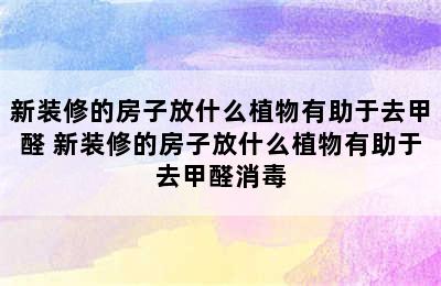 新装修的房子放什么植物有助于去甲醛 新装修的房子放什么植物有助于去甲醛消毒